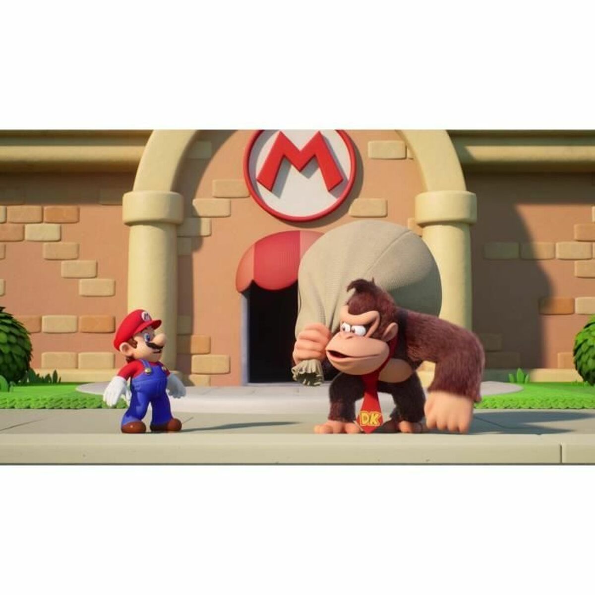 Videomäng Switch konsoolile Nintendo Mario vs. Donkey Kong (FR)